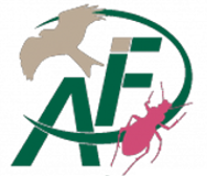 Logo ArtenFinder Berlin